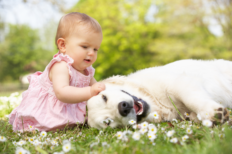 Dirt + Dogs vs. Allergies + Asthma