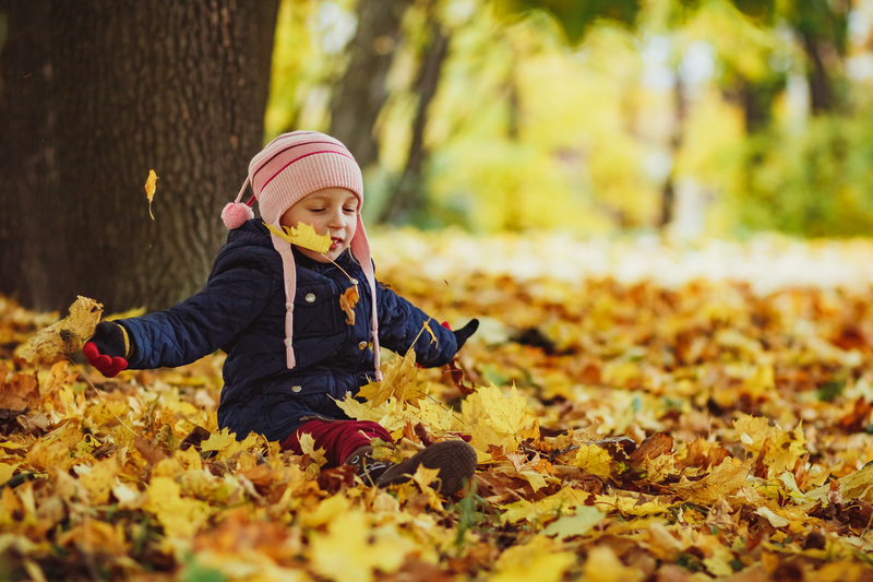 Fall for the Season