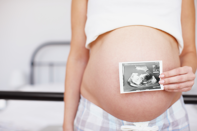 Meet Your Developing Baby