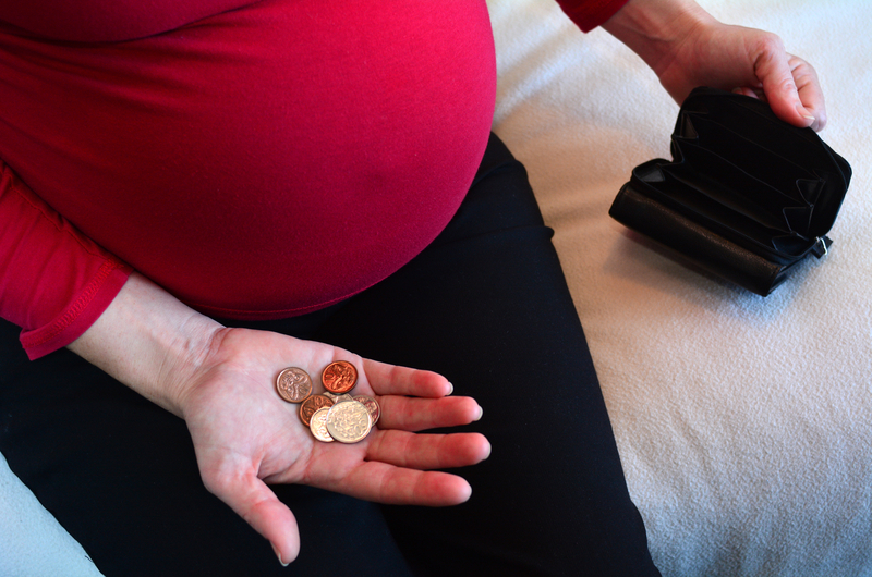 The Baby Budget