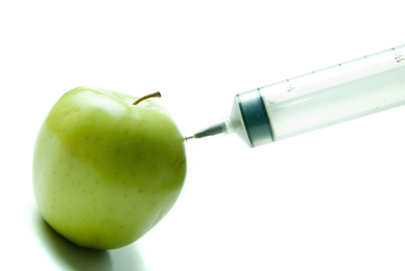 The Truth About Genetically Modified Food