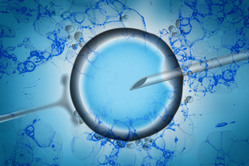 Find Your Fertility