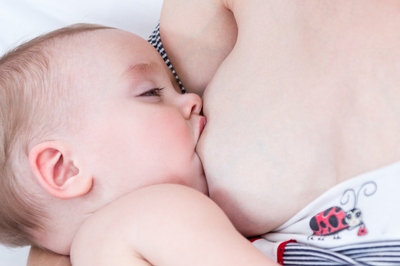 Breast Changes in Pregnancy